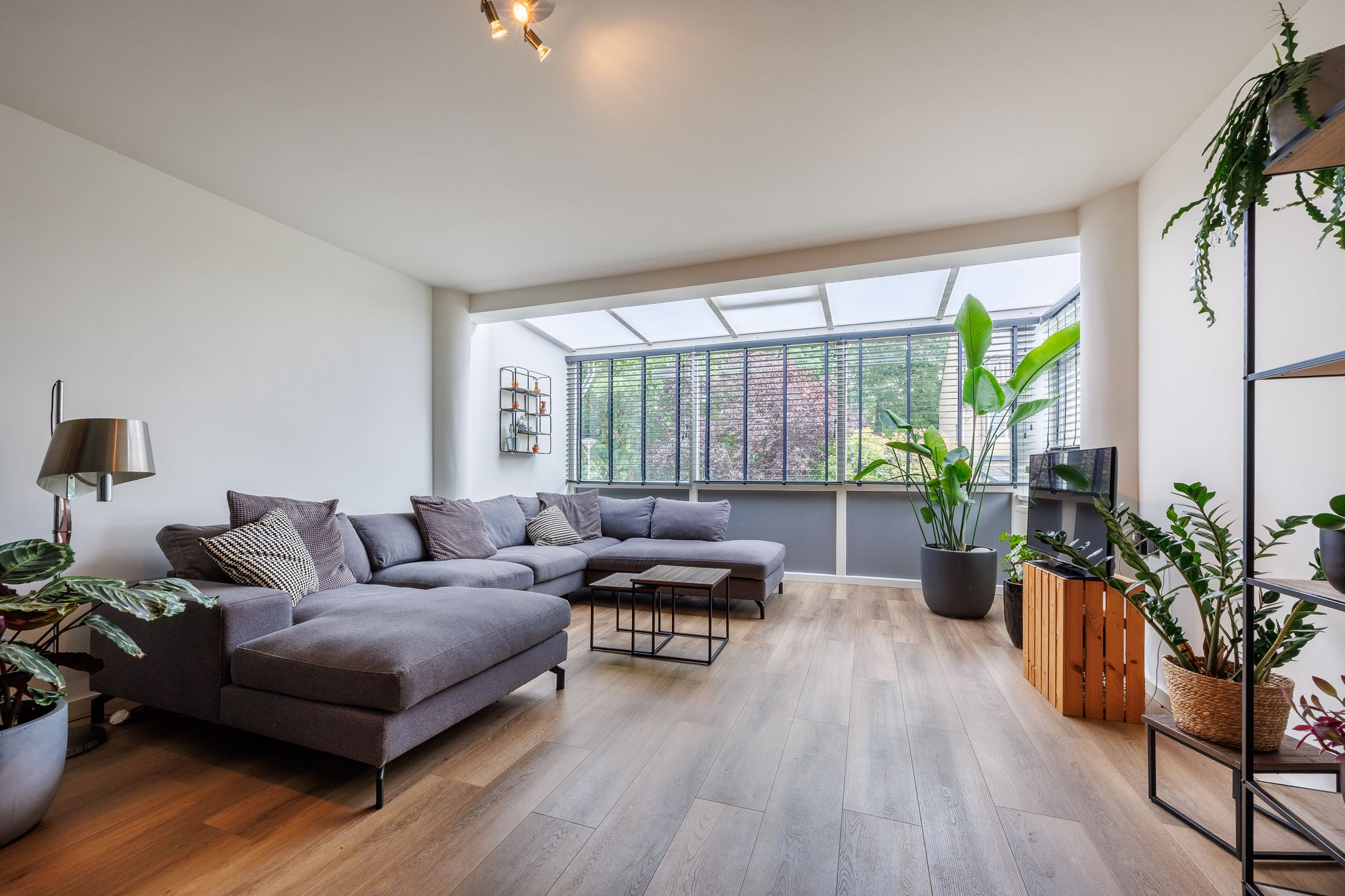 Foto 6 van Lindeboom 38