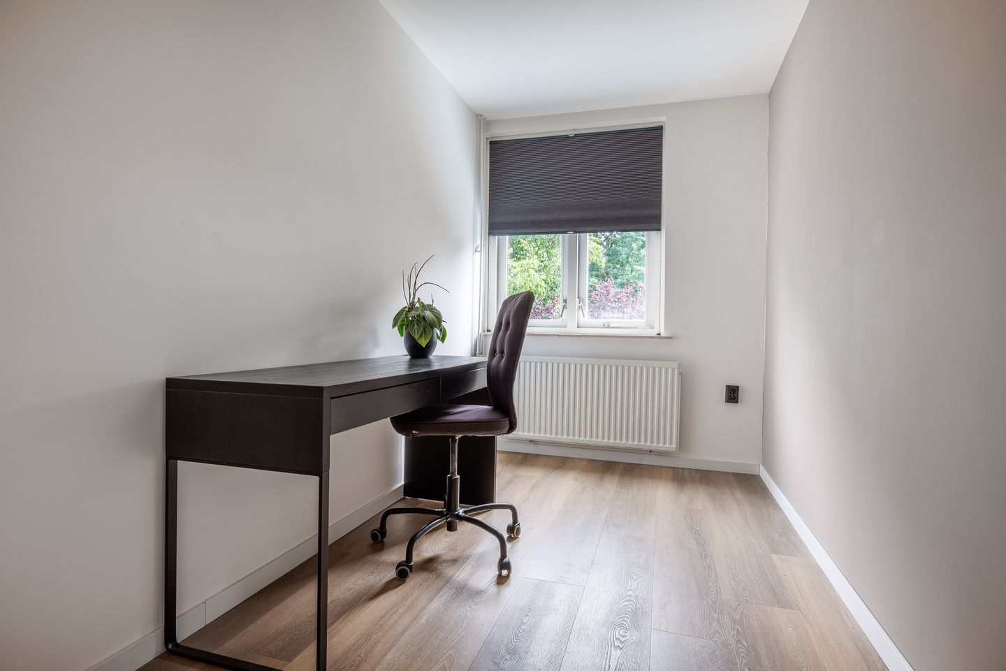 Foto 20 van Lindeboom 38