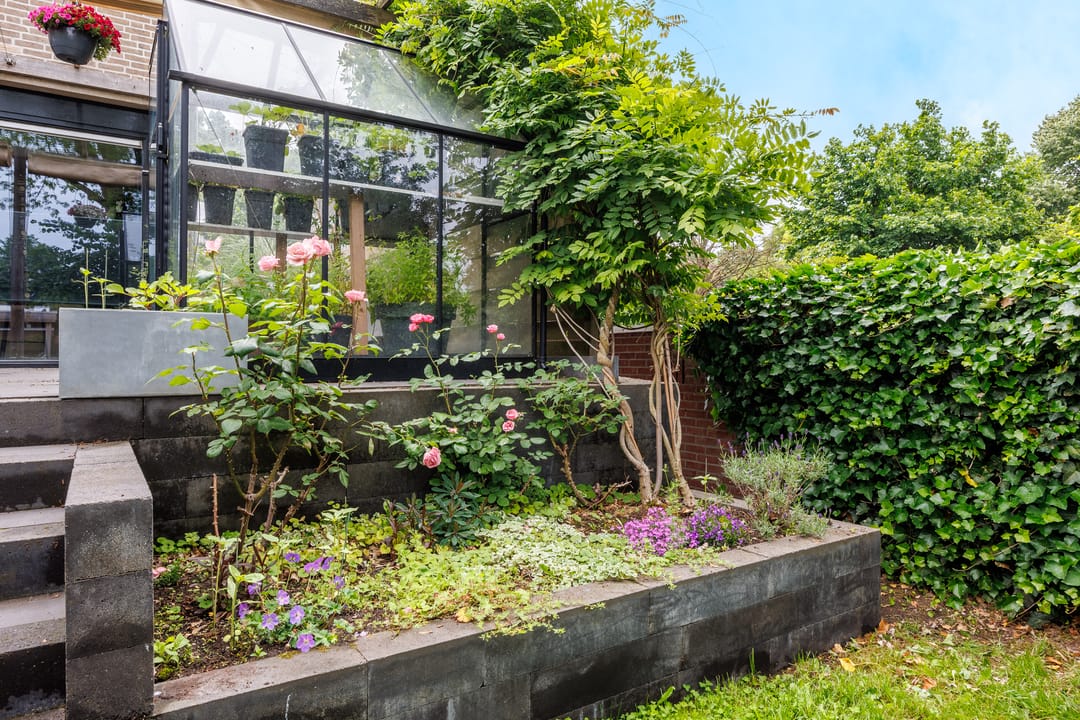 Foto 43 van Lindeboom 38