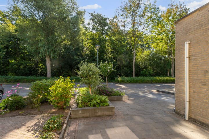 Foto 7 van Bertelsberg 91