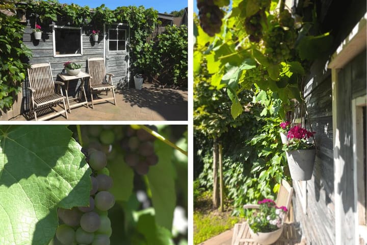 Foto 25 van Bertelsberg 91