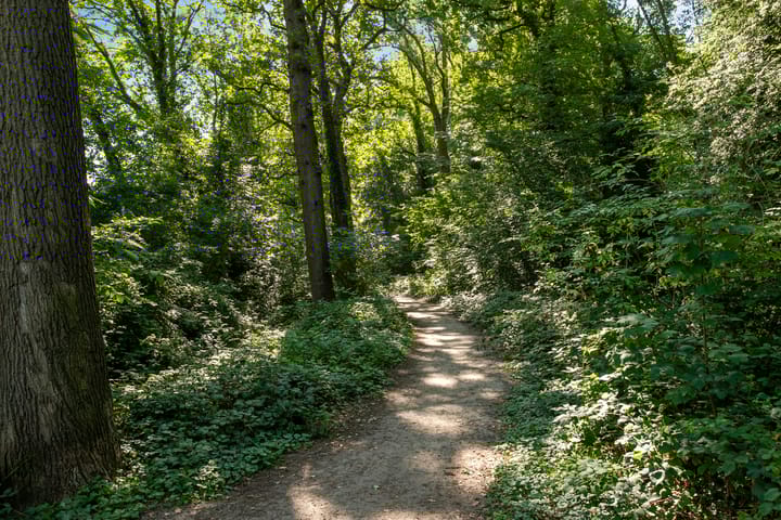 Foto 44 van Bertelsberg 91