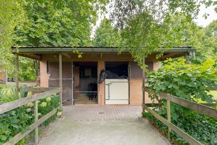 Foto 69 van Zuiderdiep 8