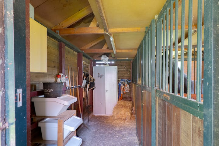 Foto 70 van Zuiderdiep 8