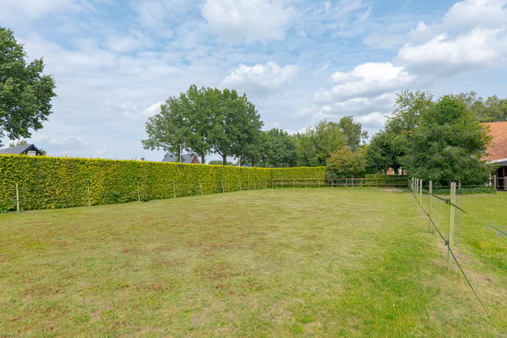 Foto 73 van Zuiderdiep 8