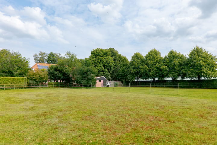 Foto 78 van Zuiderdiep 8