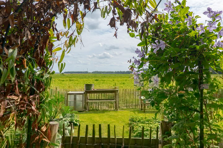 Foto 84 van Zuiderdiep 8