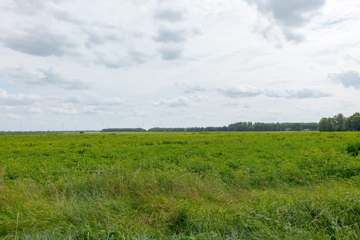 Foto 86 van Zuiderdiep 8