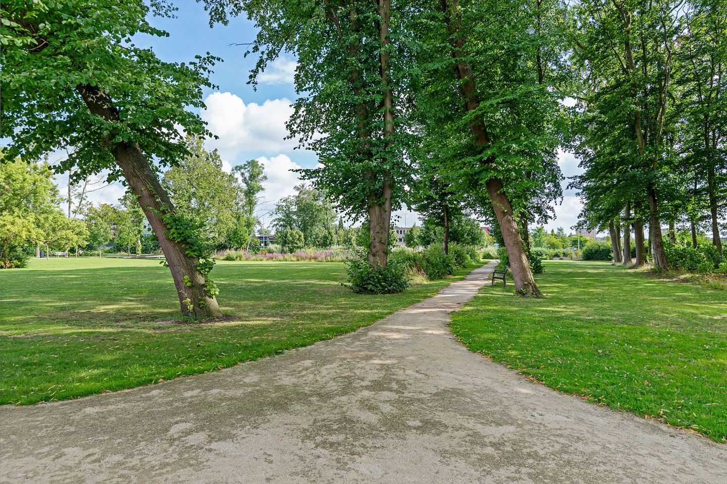 Foto 20 van Blauwe Berg 19-A