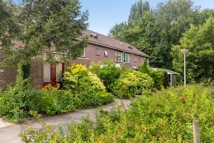 Photo 26 of Turfschip 116