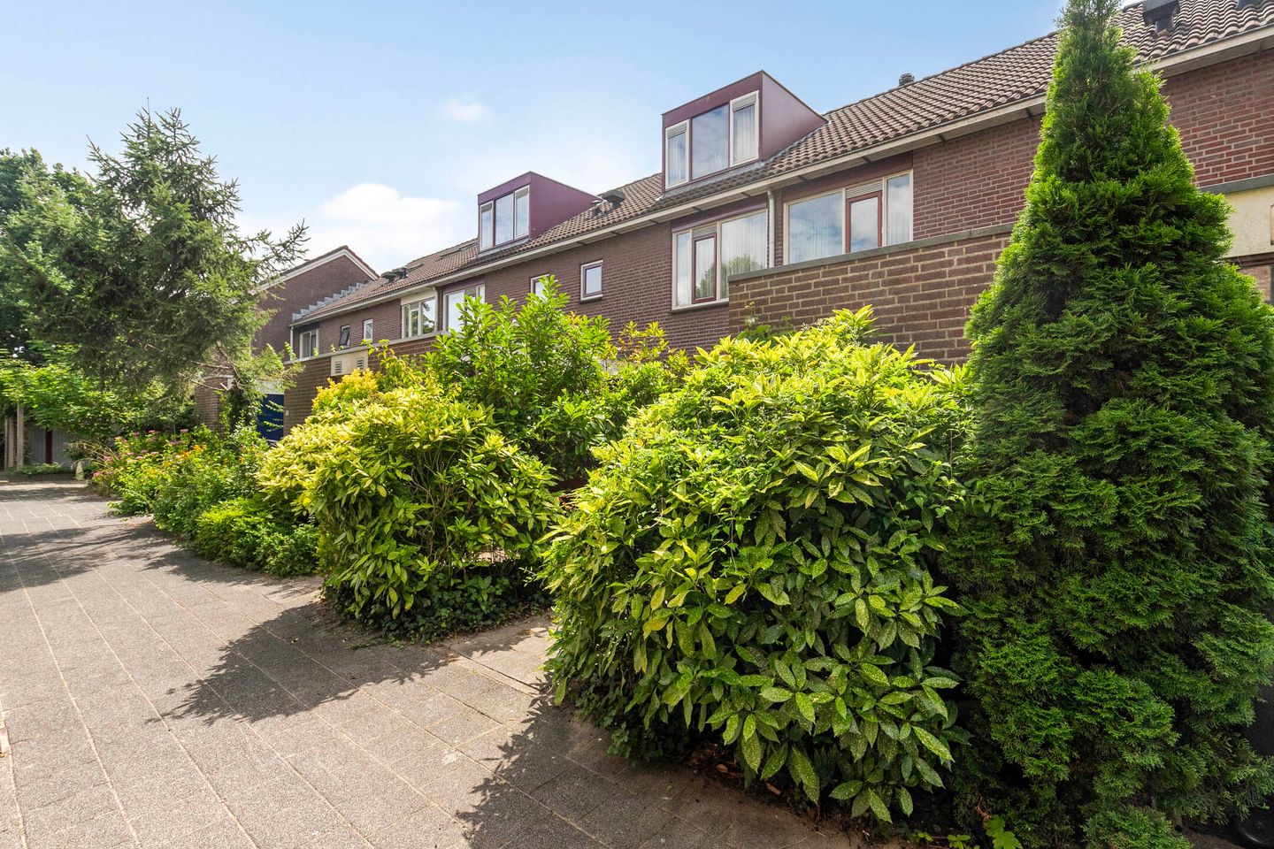 Foto 25 van Turfschip 116