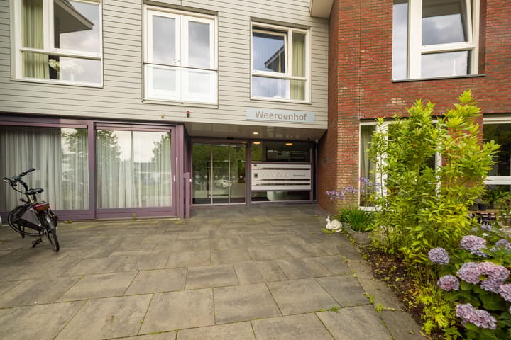 Photo 3 of Ds Herm Pollaan 9-C