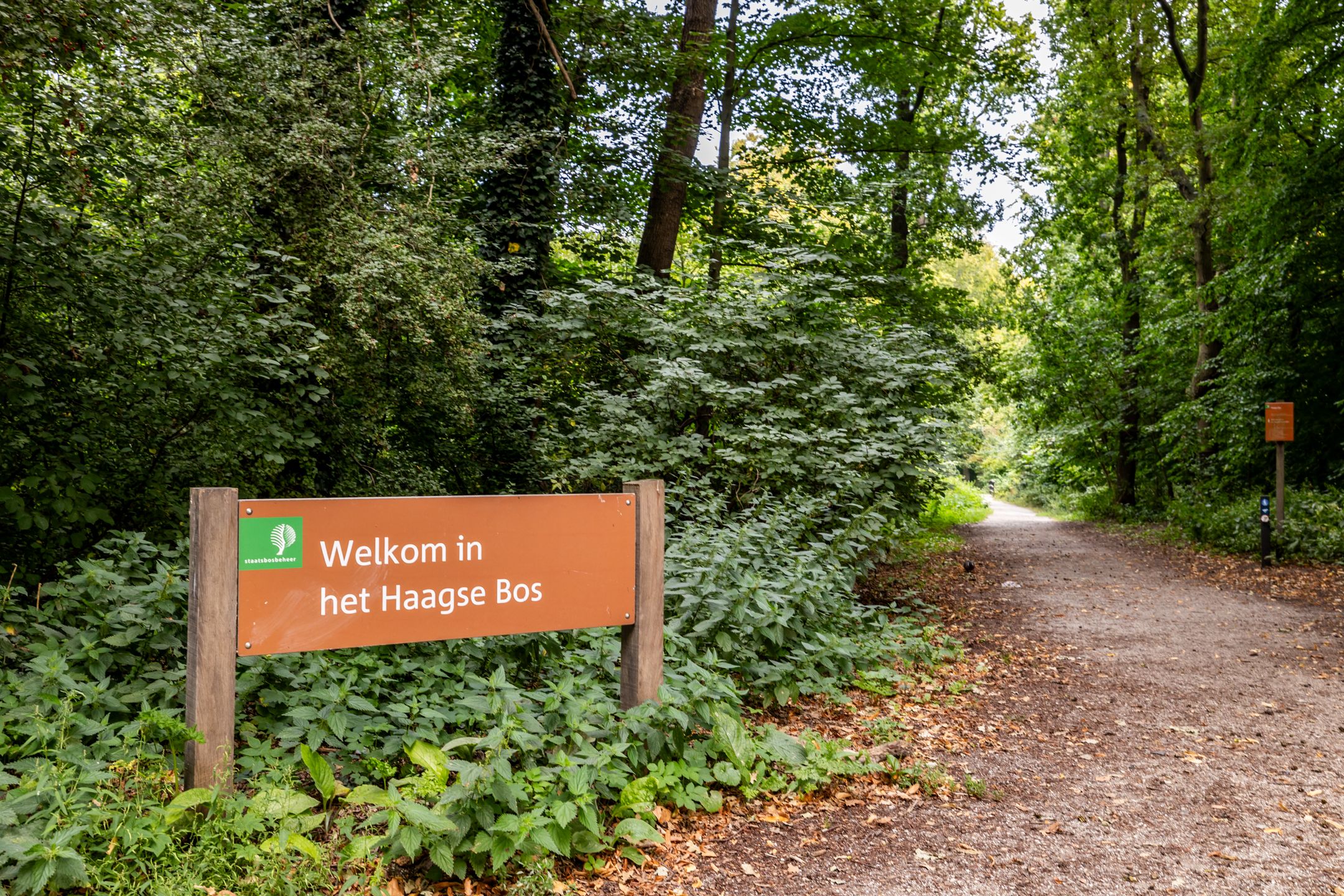 Foto 27 van Bezuidenhoutseweg 251-A