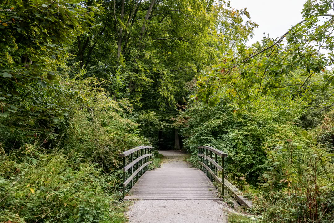 Foto 28 van Bezuidenhoutseweg 251-A