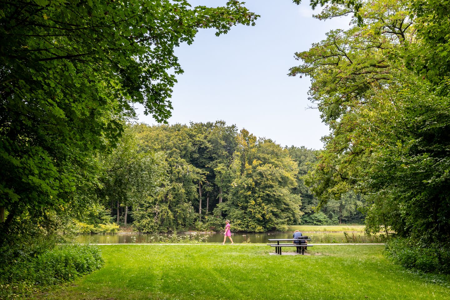 Foto 29 van Bezuidenhoutseweg 251-A