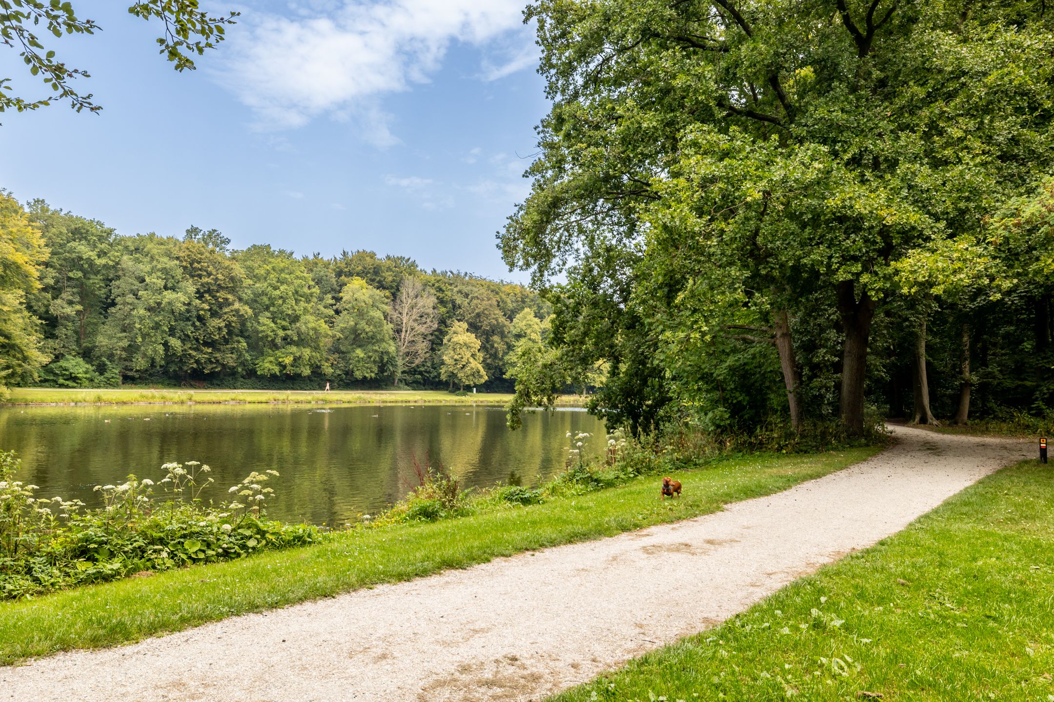 Foto 30 van Bezuidenhoutseweg 251-A