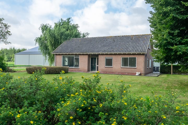 Roozand 2, Donderen