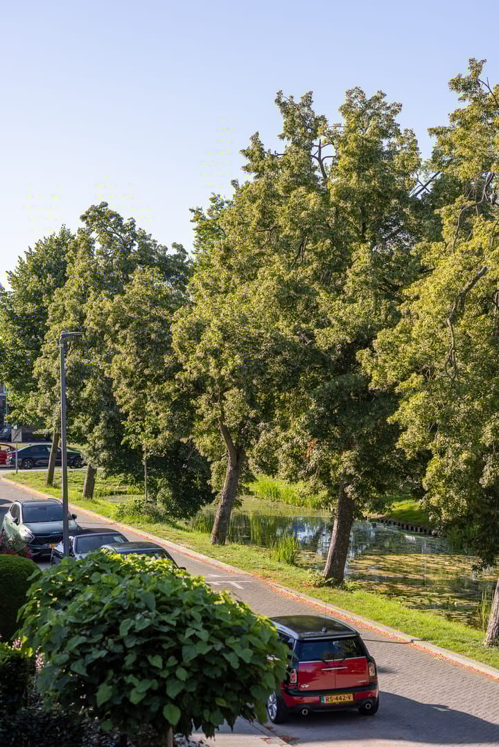 Foto 28 van Breitnersingel 55