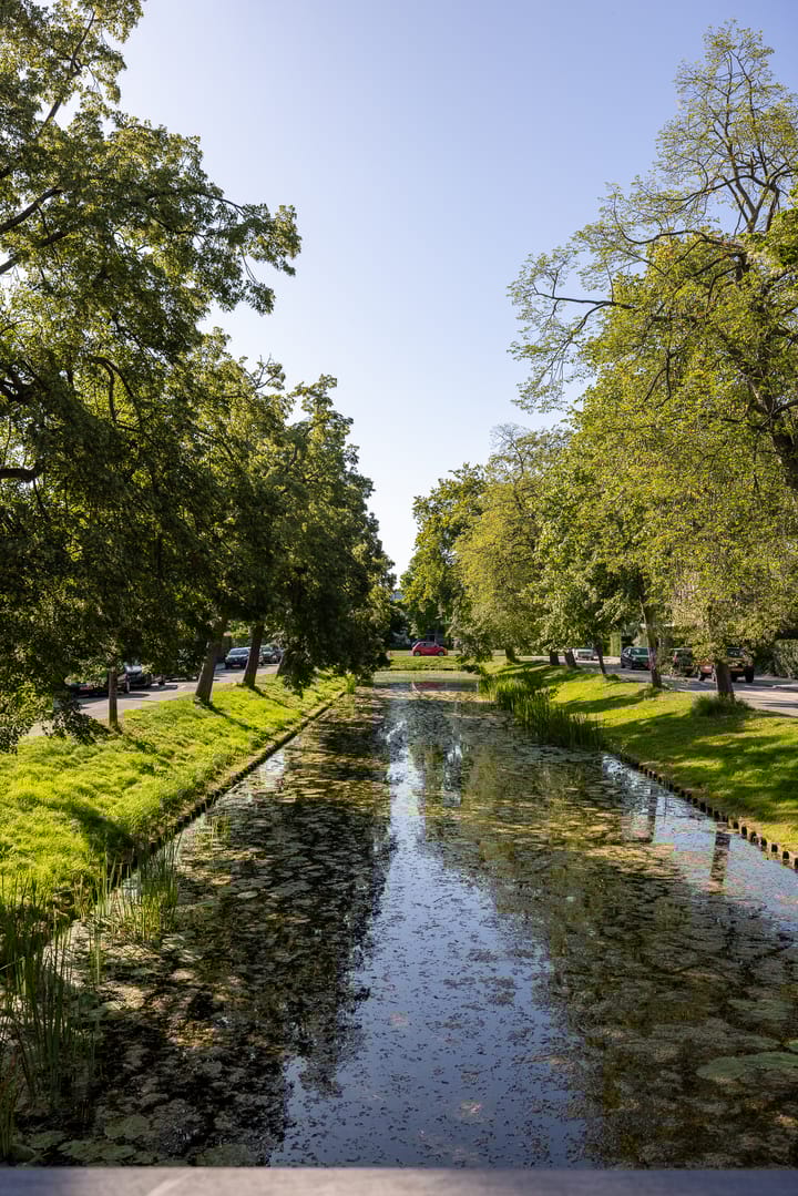 Foto 50 van Breitnersingel 55