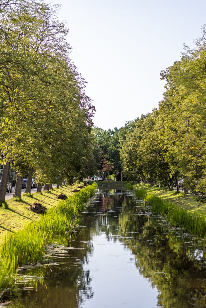 Foto 51 van Breitnersingel 55