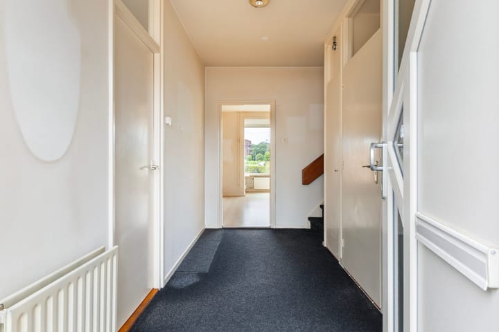 Foto 4 van de Bird 110