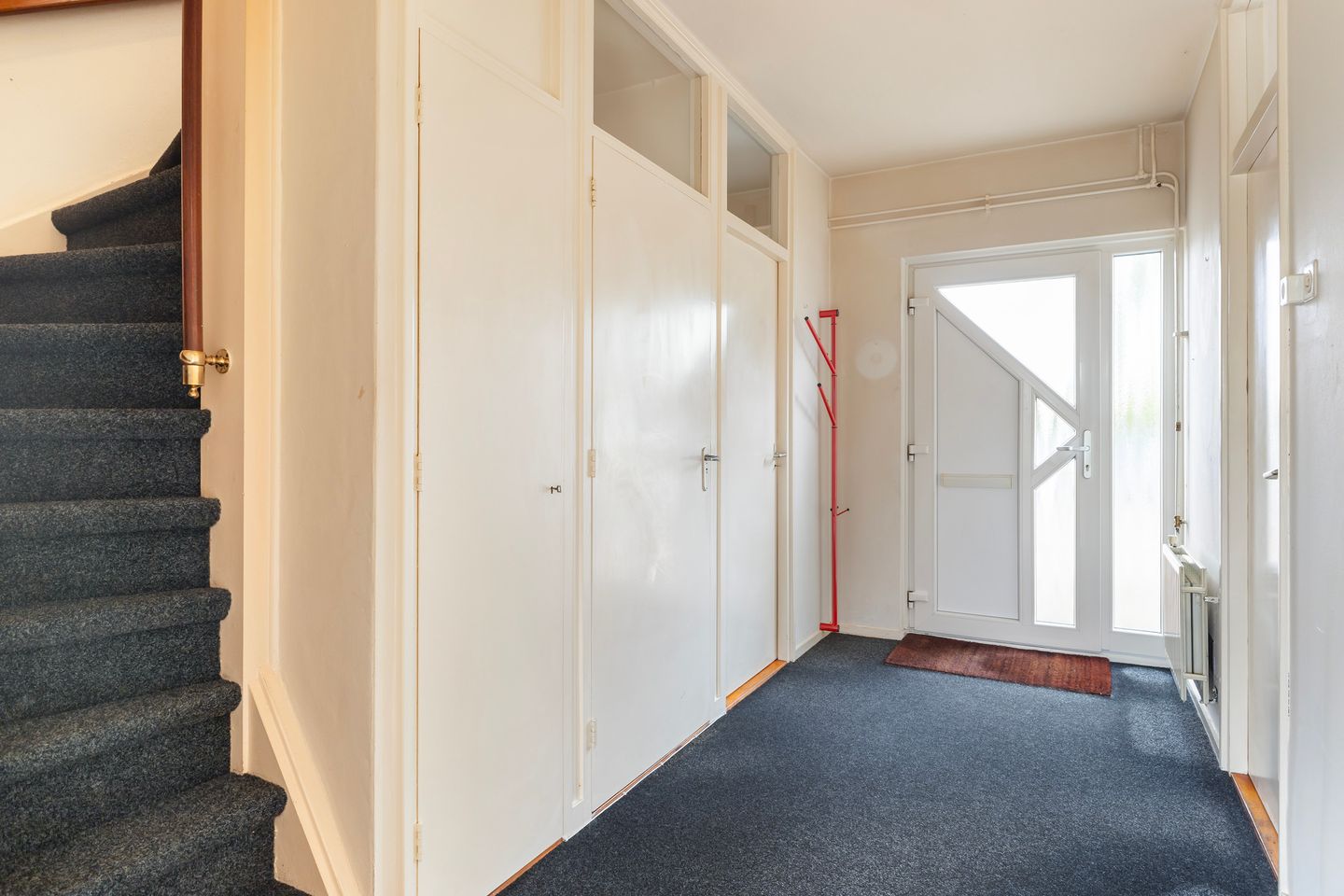 Foto 5 van de Bird 110