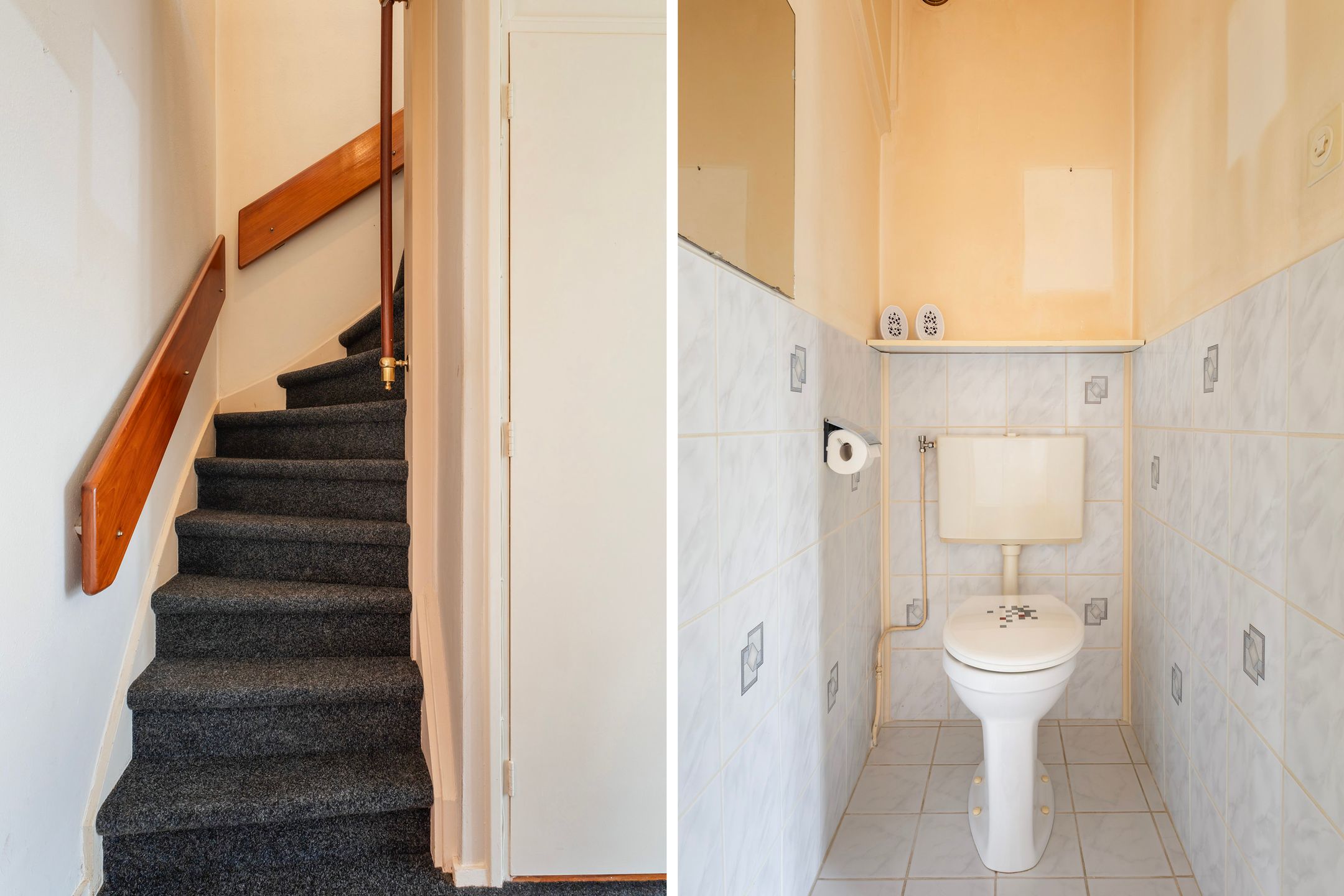 Foto 6 van de Bird 110