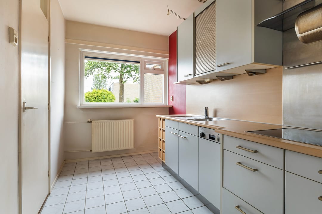 Foto 8 van de Bird 110