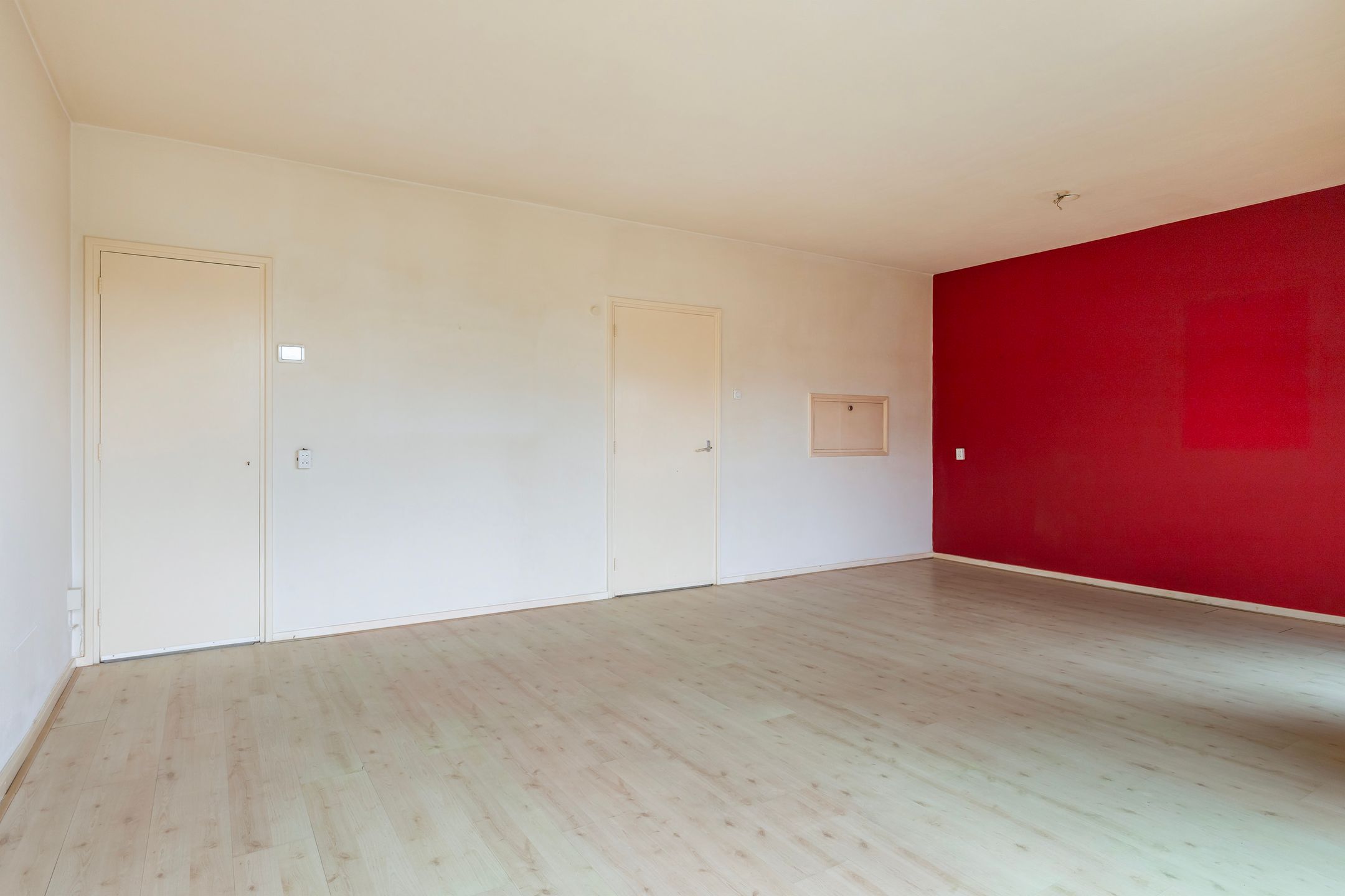 Foto 9 van de Bird 110