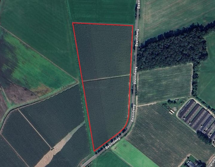 Beemdweg, Leunen
