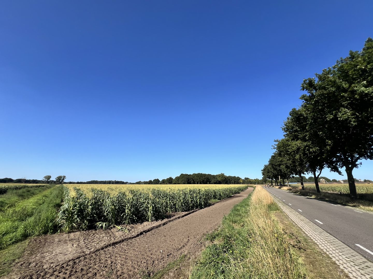 Bekijk foto 2 van Beemdweg