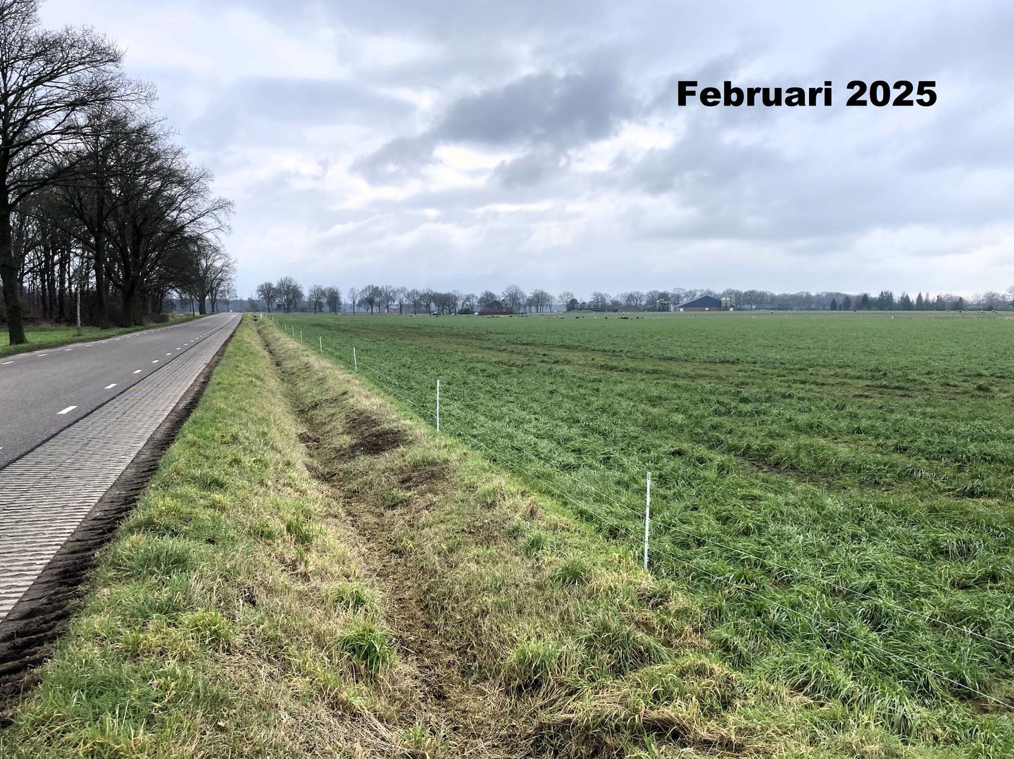 Bekijk foto 3 van Beemdweg