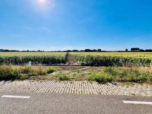 Bekijk foto 5 van Beemdweg