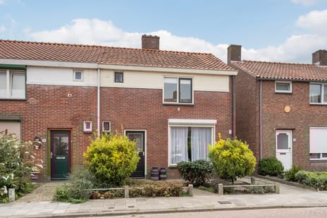 undefined main image