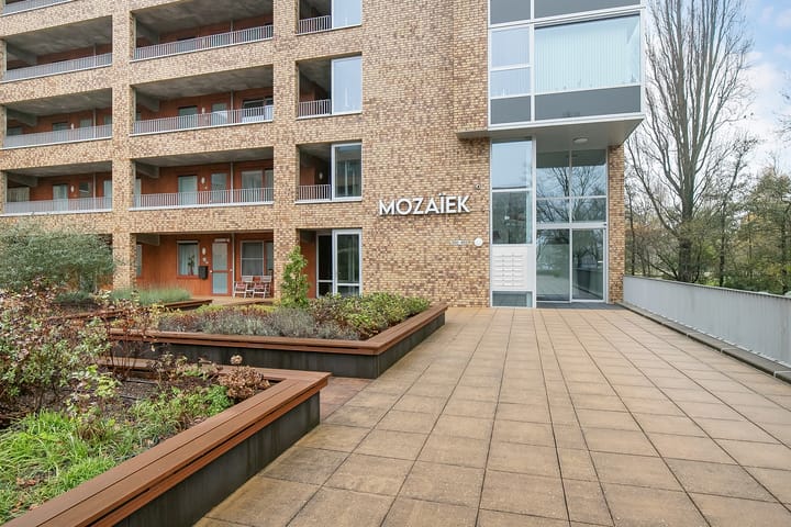 Foto 4 van Laan van de Helende Meesters 354