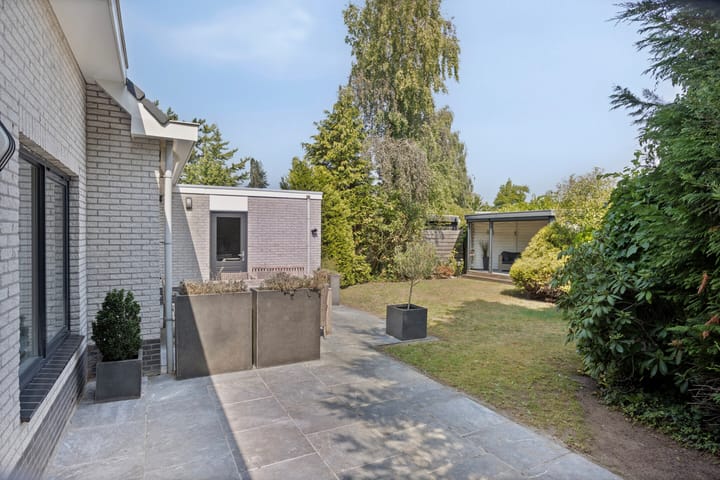 Photo 38 of De Braak 11