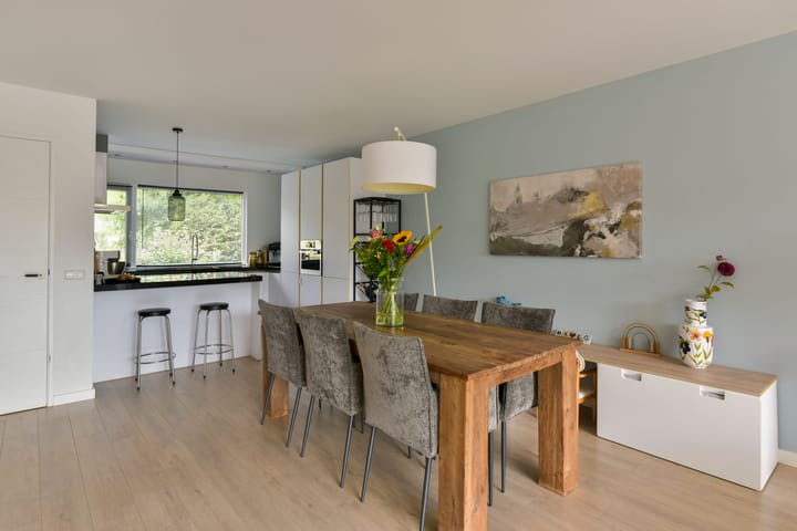 Foto 12 van Klijne Meer 20