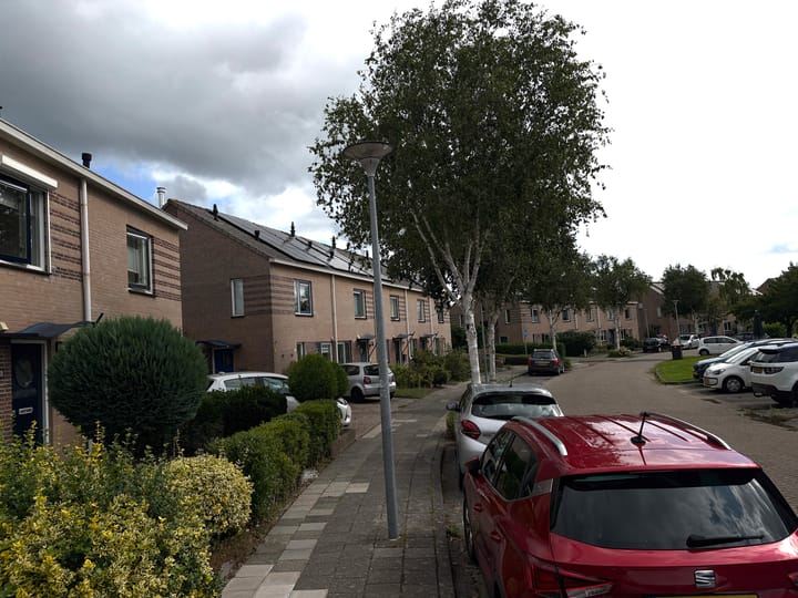 Foto 2 van Saffierstoep 70