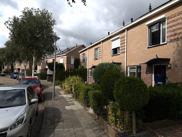 Foto 3 van Saffierstoep 70