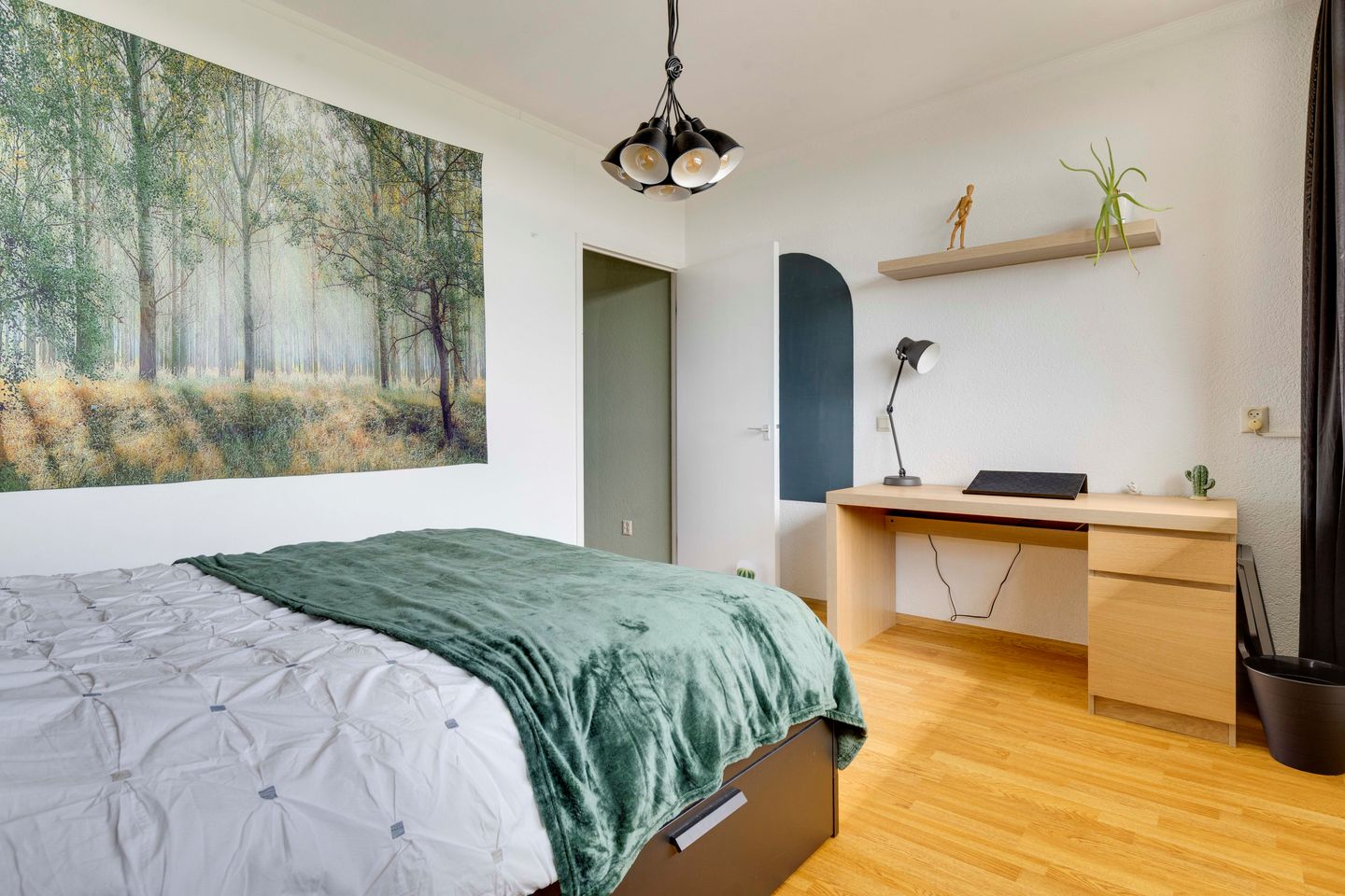 Foto 5 van de Koppele 559