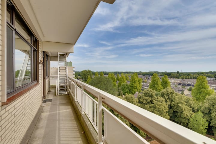 Foto 11 van de Koppele 559