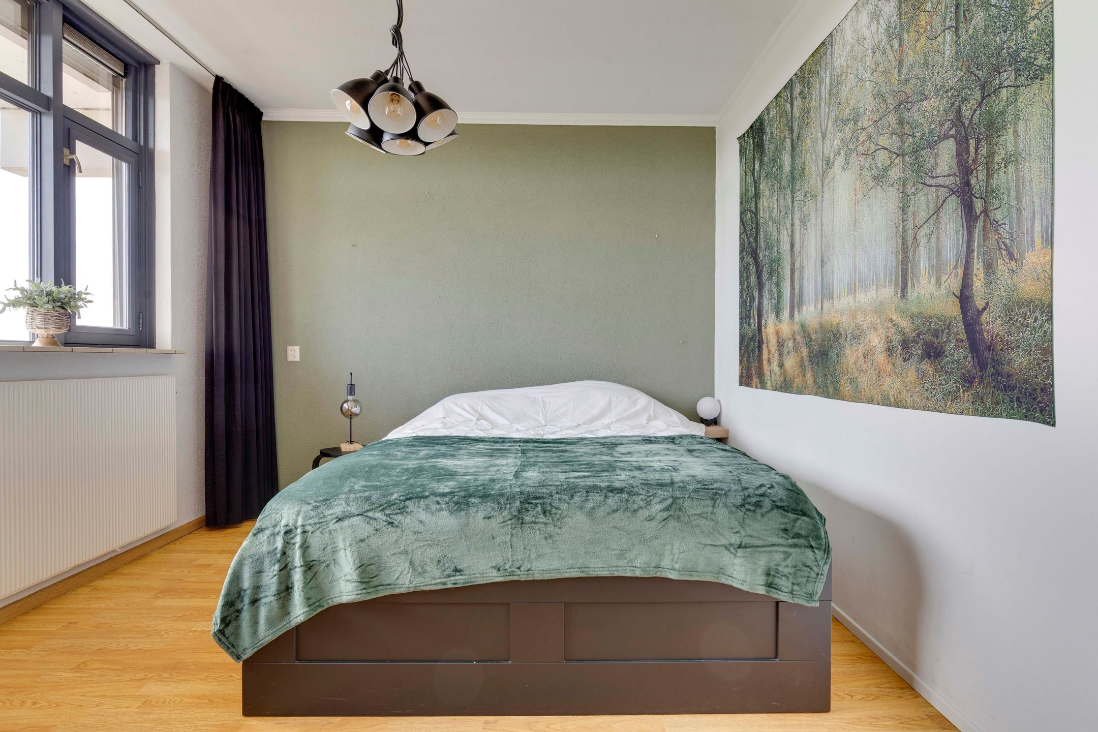 Foto 27 van de Koppele 559