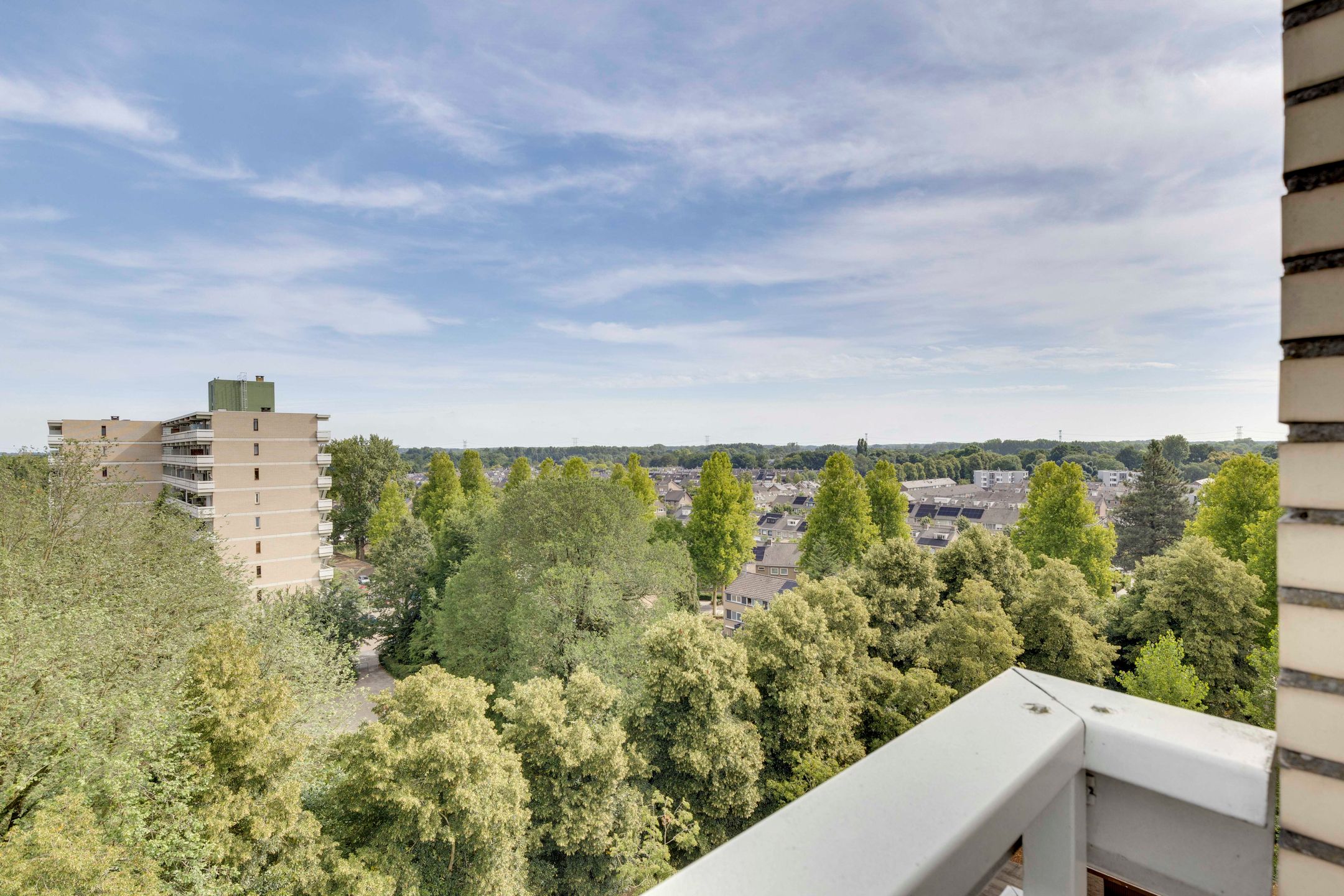 Foto 36 van de Koppele 559