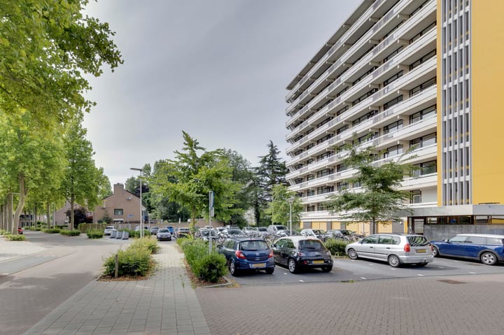 Foto 42 van de Koppele 559