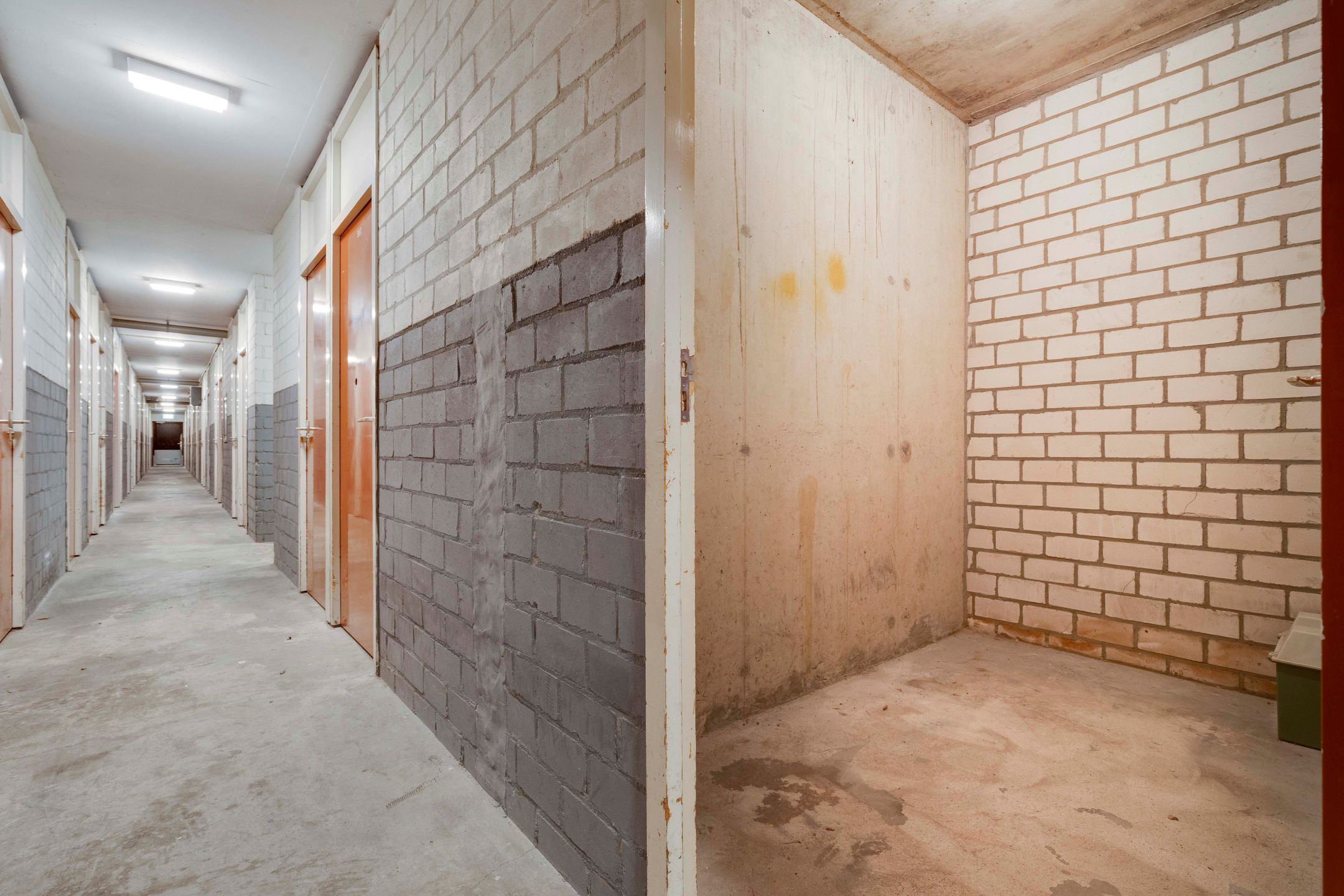 Foto 39 van de Koppele 559