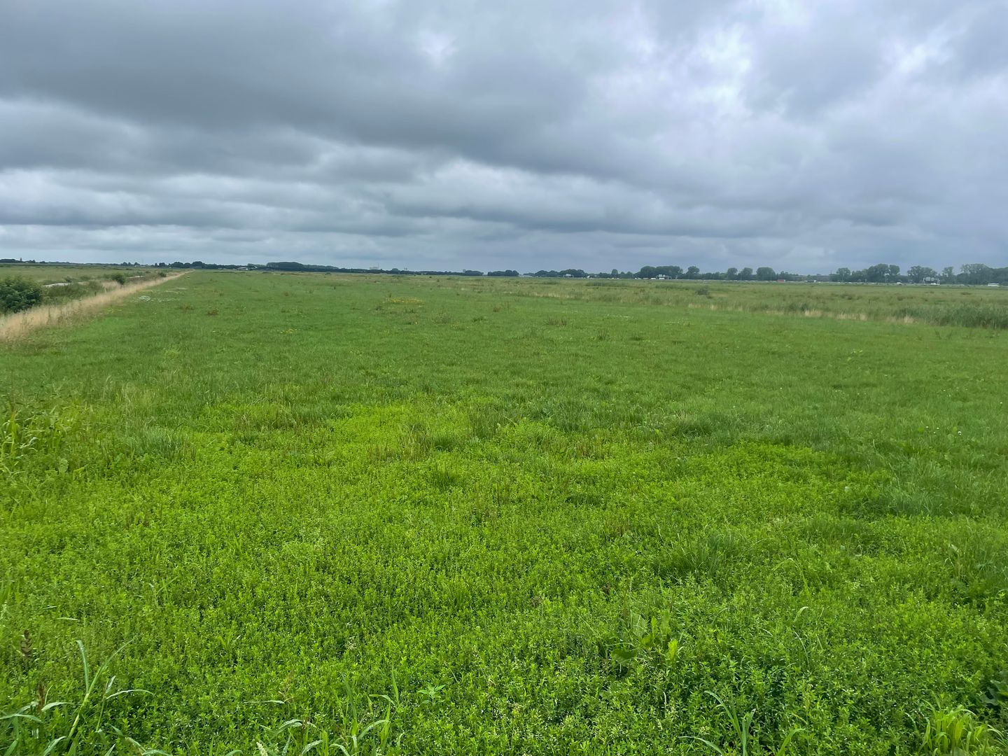 View photo 2 of Wakkerendijk