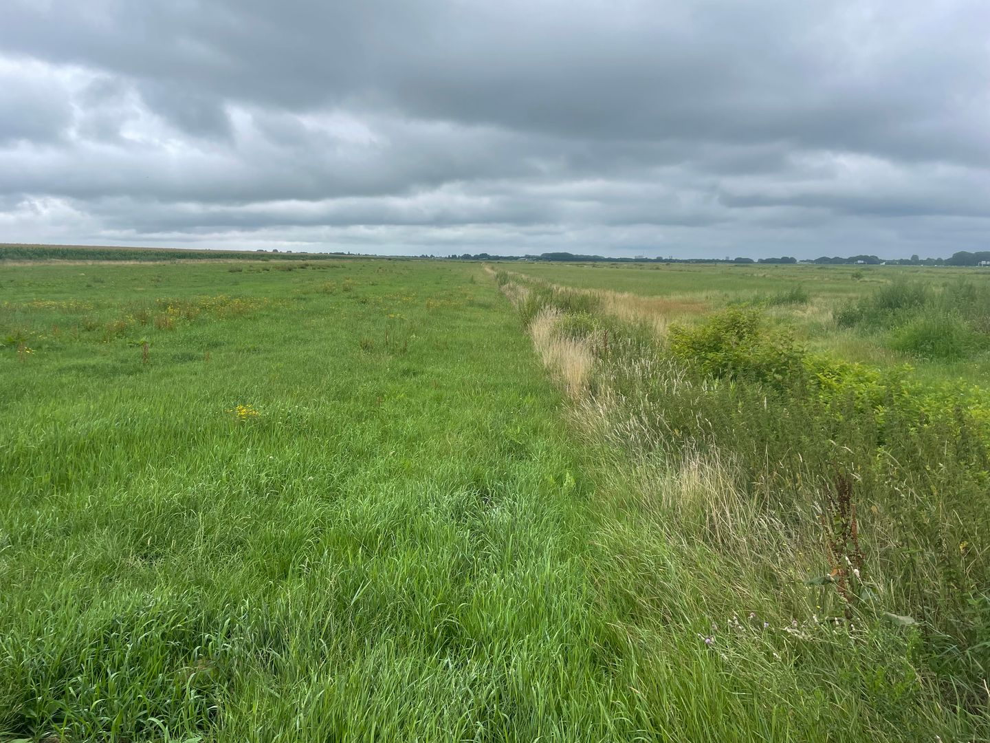 View photo 4 of Wakkerendijk