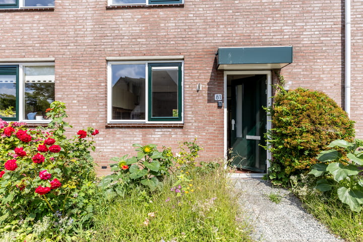 Foto 7 van Branding 81