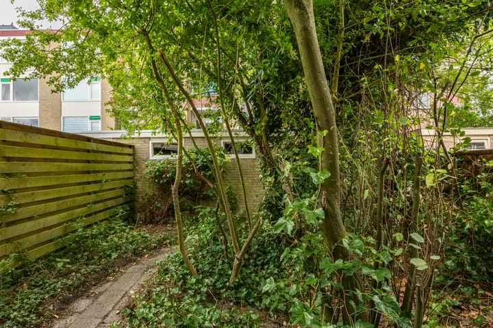 Foto 4 van Jupiterstraat 35