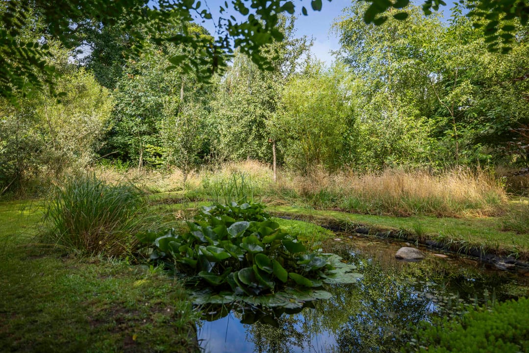 Foto 31 van Warfveendijk 18